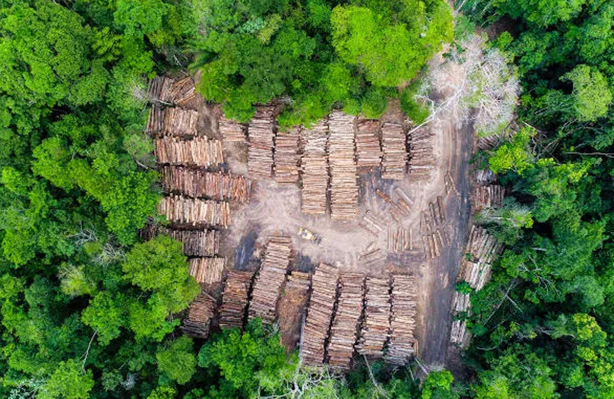 Coalizão busca triplicar concessão de floresta na Amazônia contra desmate